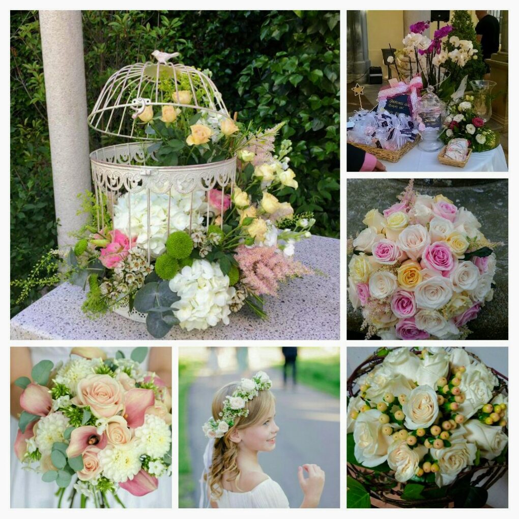 Algunas de mis novias 2017