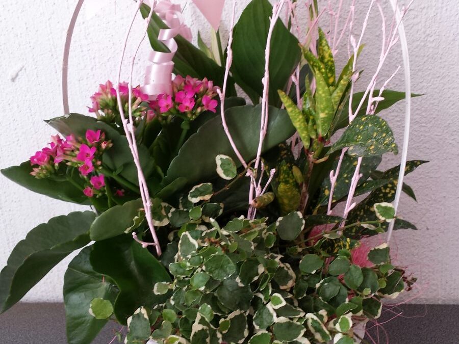 Cestas planta día de la Madre