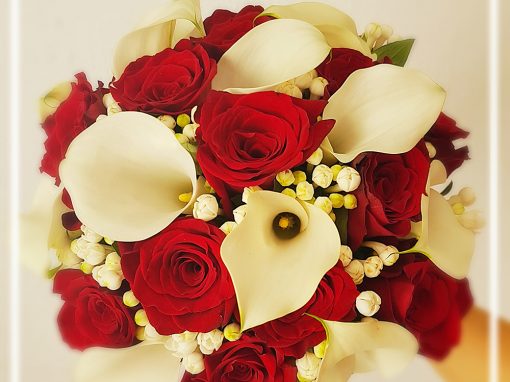Boda de Inma